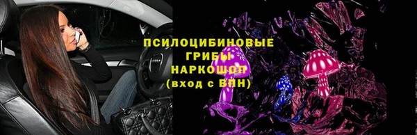 индика Богородск