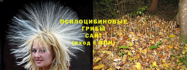 спиды Балахна