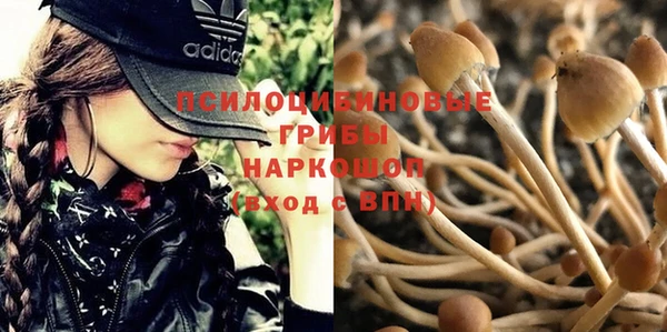 тгк Баксан