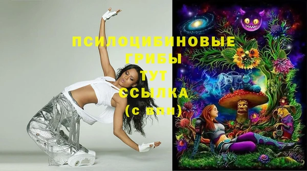 спиды Балахна
