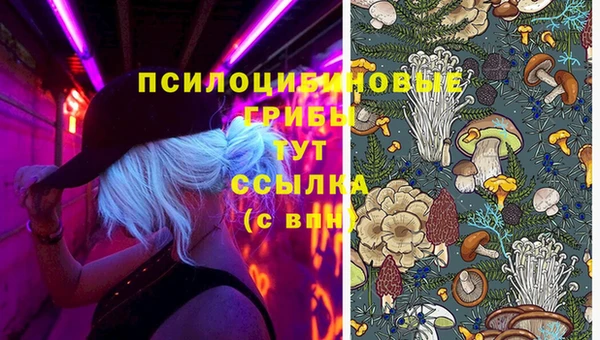 тгк Баксан