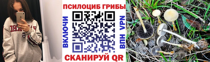 Псилоцибиновые грибы мухоморы  Облучье 