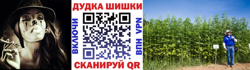 Канабис индика  Облучье 